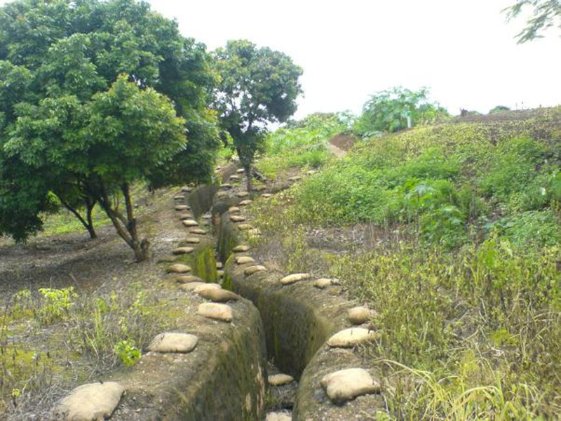 Chùm thơ Đinh Ngọc Diệp